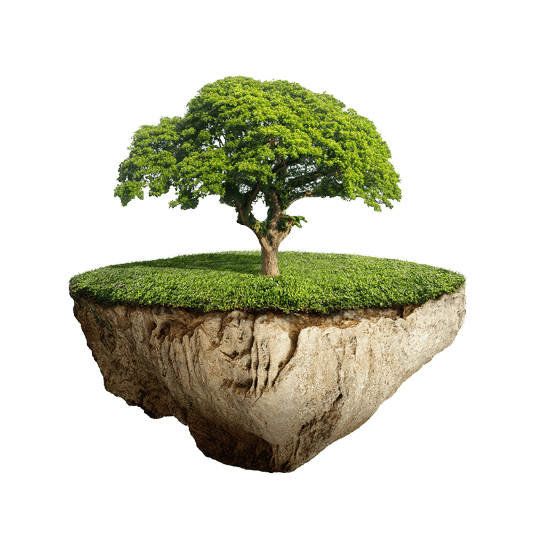 Ecoplanfinanz_Website_BaumMitErde_200307